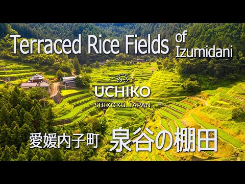 UCHIKOGENIC #8 The terraced rice fields of Izumidani 泉谷の棚田 4K