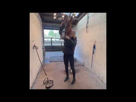 A DAY IN THE LIFE OF ARIUS CLADIUS 3yrs