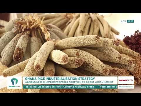 Ghana Rice Crisis Warning: Agribusiness Chamber Demands Immediate Industrialisation Strategy