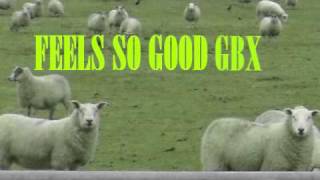 GBX- FEELS SO GOOD