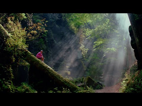 CHAPO102 - PINKER BADEMANTEL (OFFICIAL VIDEO)