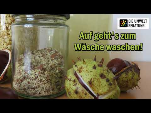 DIY: Waschmittel aus Rosskastanien