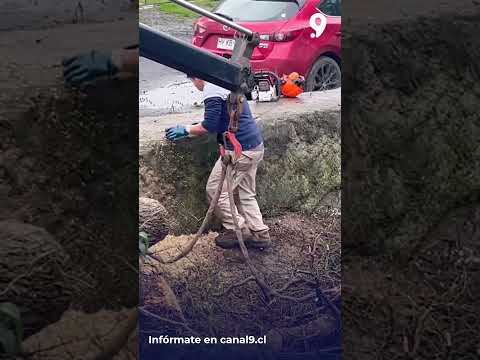 Senapred declara Alerta Amarilla en Arauco por crecida del río Pichilo