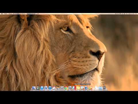 MetaTrader 5 mit Parallels Desktop auf Mac OS X Lion