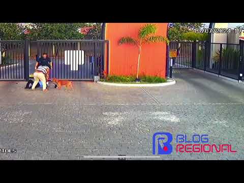 Cão que feriu cinco pessoas é removido de condomínio em Feira de Santana