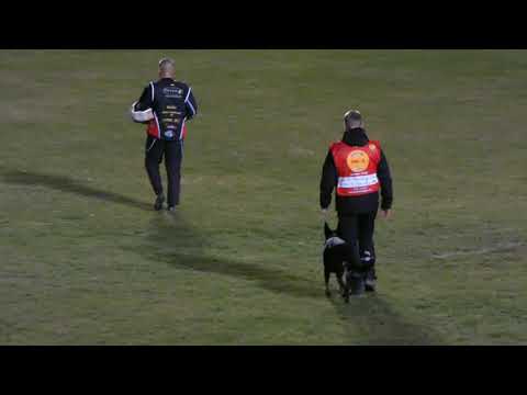 WUSV 2021  DNK 3 - JACOB CHRISTIANSEN & MILLY AUS DER KÖNIGSHÖHLE C93