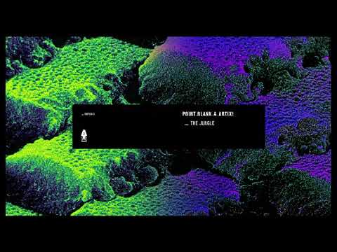 Point.Blank & ARTIX! - The Jungle