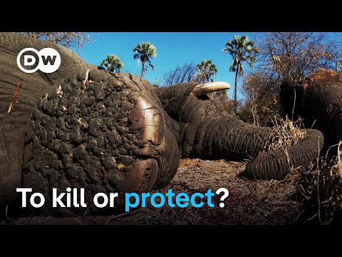 Botswana's Elephant Conundrum
