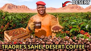 Nobody Believed The Desert Could Grow COFFEE — Until TRAORE Did