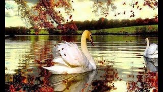 Musa Eroglu - Kevser Irmagi