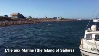 French island beside Canada - abandoned L'Île-aux-Marins