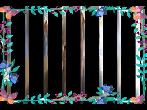 Miss lonely ( Remix2 )