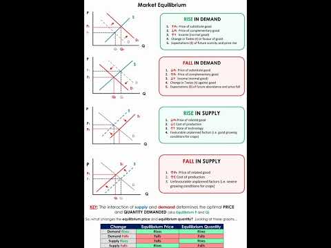 Market Equilibrium #education #trending #viral #youtubeshorts #shortsfeed #study #commerceonyourtips