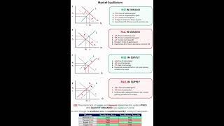 Market Equilibrium #education #trending #viral #youtubeshorts #shortsfeed #study #commerceonyourtips