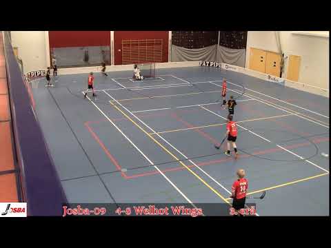 Josba 09 - Welhot Wings