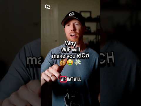 Why WIF will make you RICH ⚡️ #dogwifhat #crypto #update #WIF