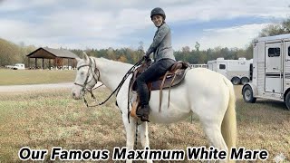 Episode 124 - Enjoying A Beautiful Horse Ride At Pennyrile State Forest Park