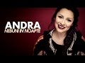 Andra - Nebuni In Noapte (Lyric Video) 