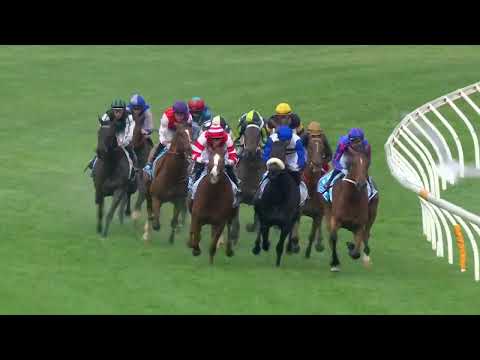 Chester Manifold Stakes 2024 - LIGHT INFANTRY MAN (Hcp LR) Listed Flemington 7 November