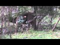 Australian Deer Hunting