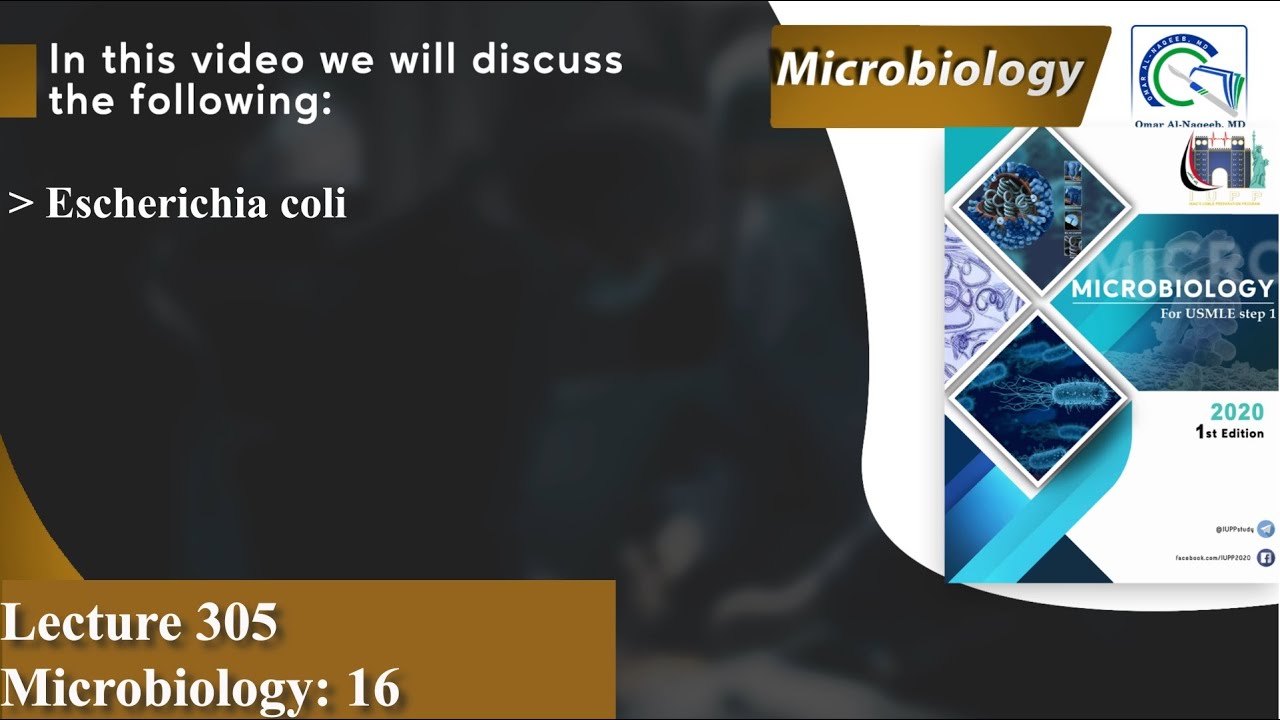 Escherichia coli