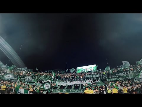 ""SIGUIENDO AL VERDE SOY FELIZ" | ATLÉTICO NACIONAL - LOS DEL SUR (Sub: ES/EN)" Barra: Los del Sur &bull; Club: Atlético Nacional &bull; País: Colombia