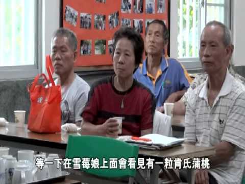 2012臺南市社區影像培力課作品合輯─安平區國平社區《生命翻頁 肯式蒲桃》 