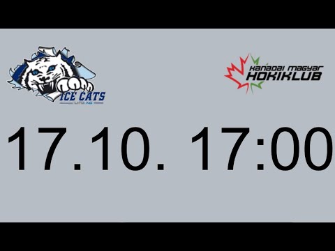 1. + 2. Abschnitt, DHC IceCats LinzAG vs KMH Budapest II