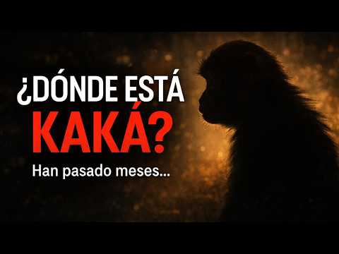 ¿Dónde está realmente Kaká en Vietnam? Han pasado muchos meses…