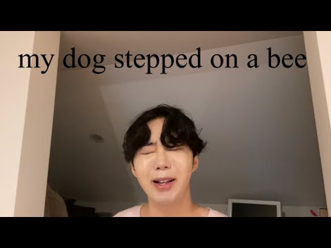 If Amber Heard was ACTUALLY HONEST