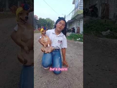 My favorite pet by Taliana from Puerto Boyacá