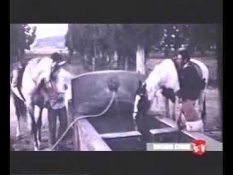 Innocenti evasioni - Lucio Battisti