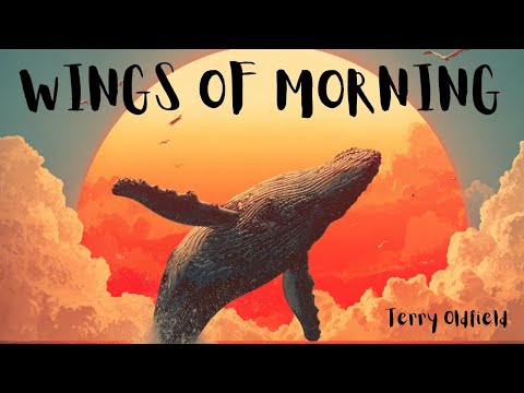 WINGS OF MORNING ... Terry Oldfield