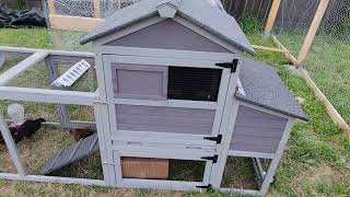 GUTINNEEN chicken coop from Amazon.....