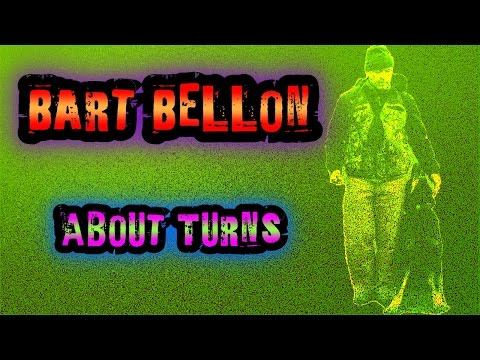 About Turns And Side Steps In Heelwork — NePoPo