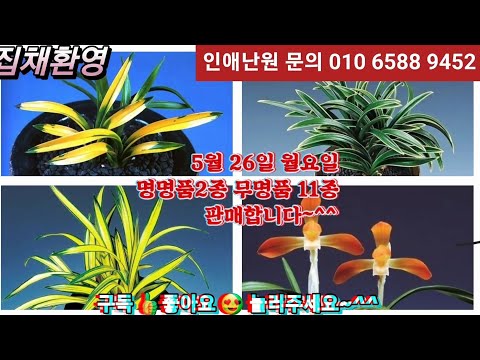 유튜브 썸네일