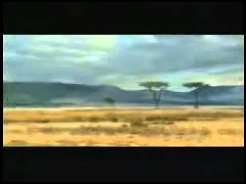 Il leone  e la gazzella