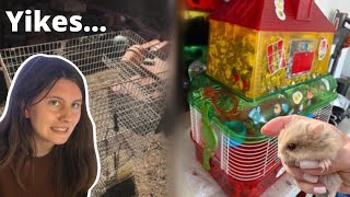 Reviewing HORRIBLE Hamster CRAIGSLIST Ads | Critter Cruelty 4