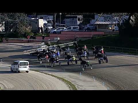 Aversa trotto 16 Febbraio 2022 - 3° Corsa