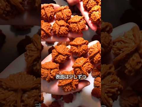 くるみを磨き上げるとどうなるか