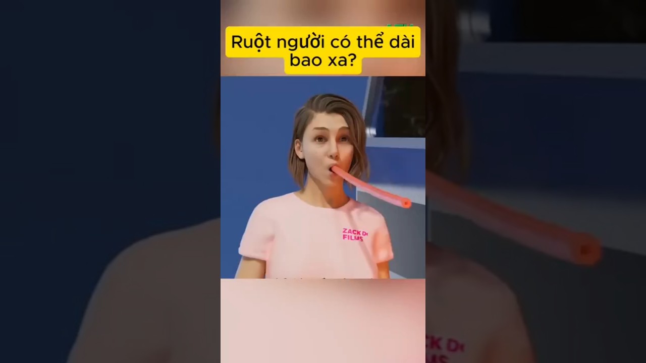 Ruột người có thể dài bao xa?