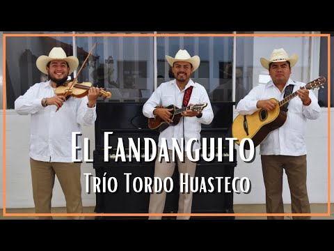 Trío Tordo Huasteco - El Fandanguito