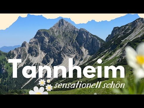 Wie im Märchen: Bergwanderung in den Tannheimer Bergen.