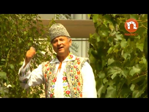 Nicolae Glib - Moldovean ca mine nu i