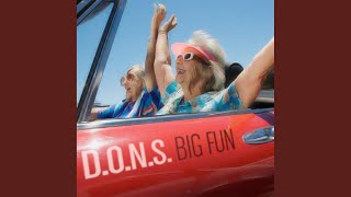 Big Fun (Work It To The Bone Mix)