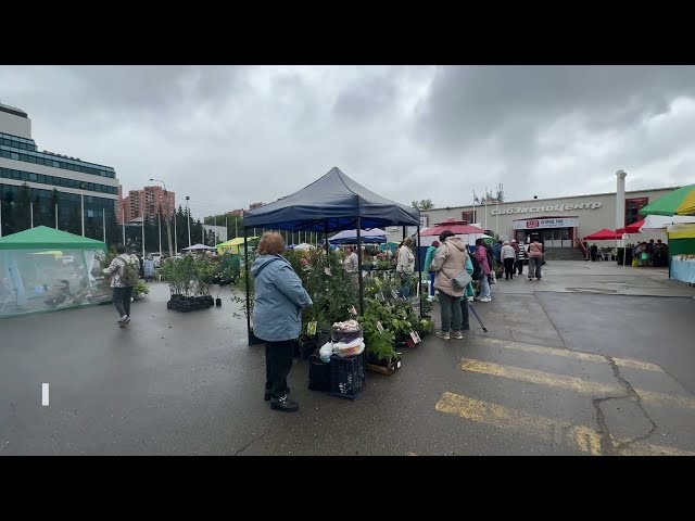 Выставка «Сад. Огород. Загородный дом» открылась в «Сибэкспоцентре»