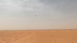 Mauritanie Parc national du Banc D'Arguin Gopro / Mauritania Drive in Banc D'Arguin National Park