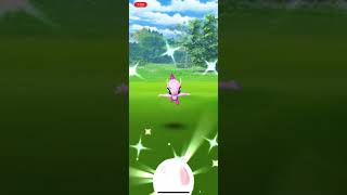 色違いセレビィ無事完遂