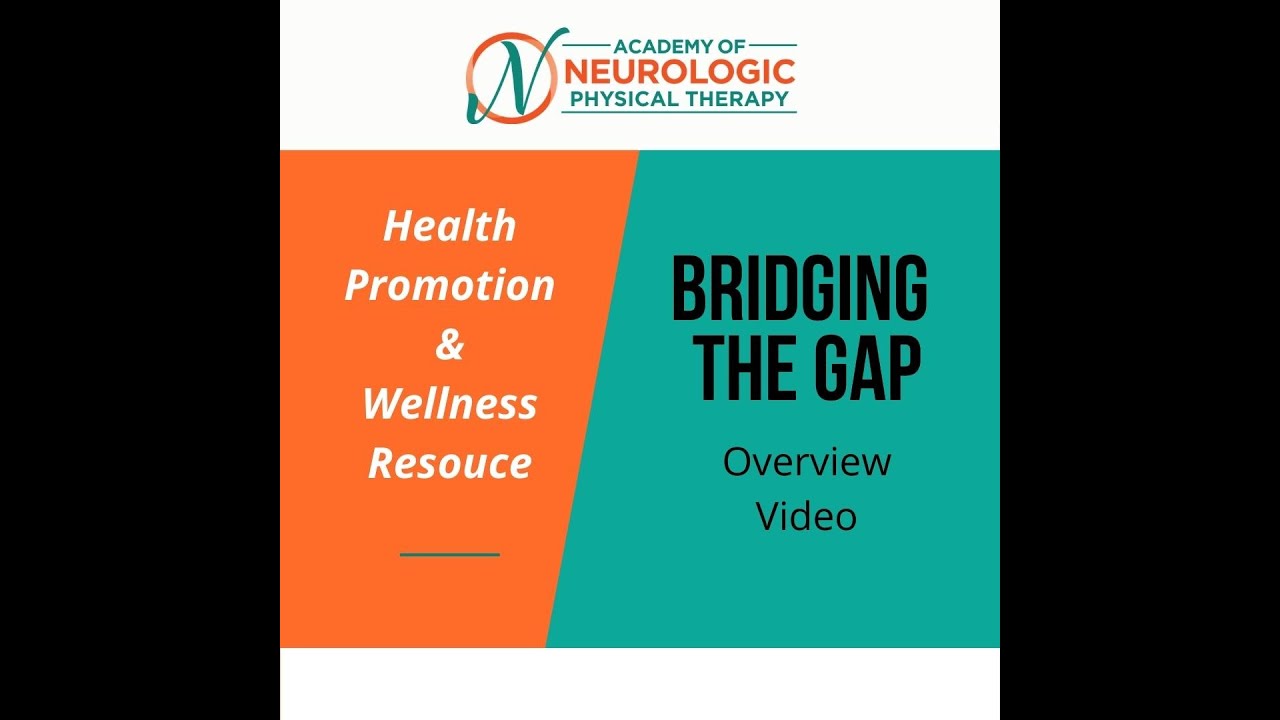 Bridging the Gap Overview