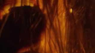 DEJADEATH - Slow Demise (official videoclip)